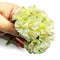 Light Yellow Color Fabric Flowers Bunch 2 Of 12 PCS.
